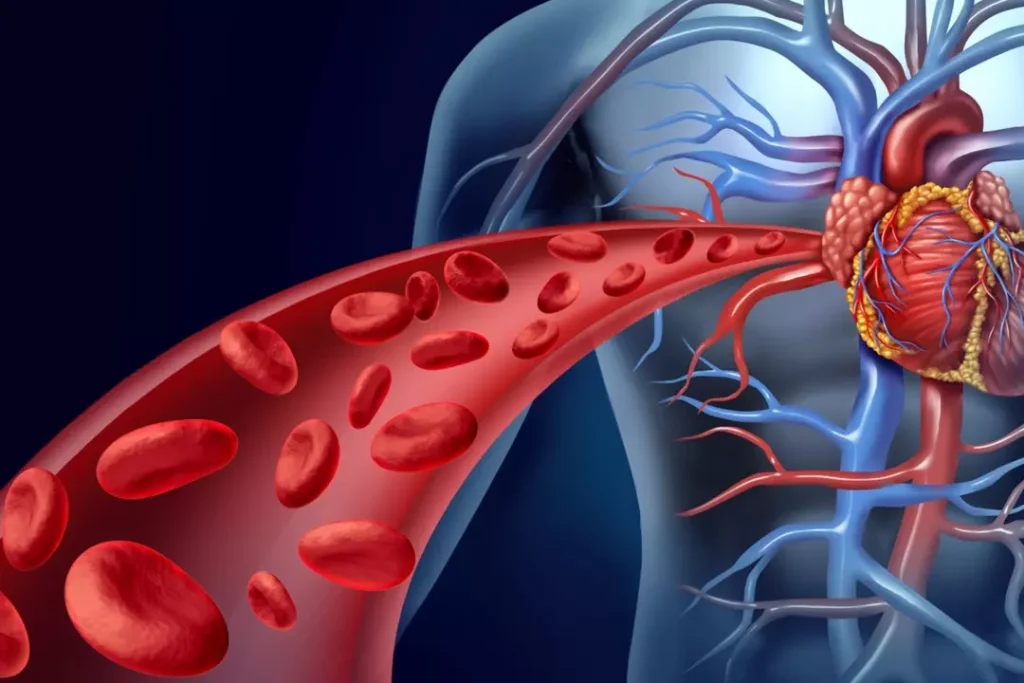 Blood flow control